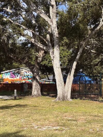 Queen Dennis Park - St. Petersburg, FL