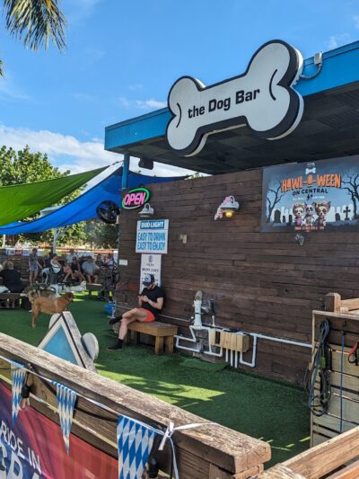 The Dog Bar - St. Petersburg, FL