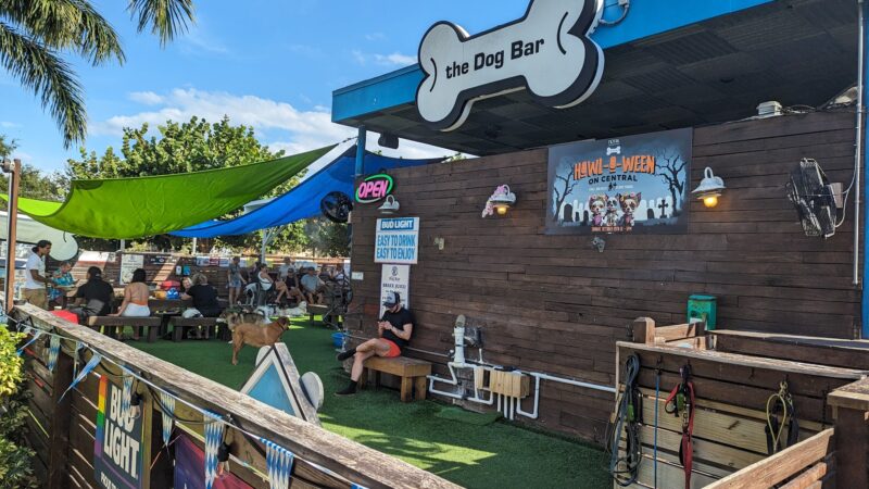 The Dog Bar - St. Petersburg, FL