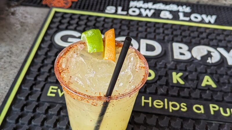The Dog Bar - St. Petersburg, FL