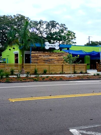 The Dog Bar - St. Petersburg, FL