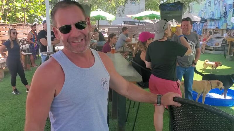 The Dog Bar - St. Petersburg, FL