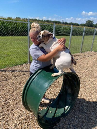 The Canine Cabin LLC - Stacyville, IA