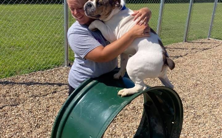 The Canine Cabin LLC - Stacyville, IA