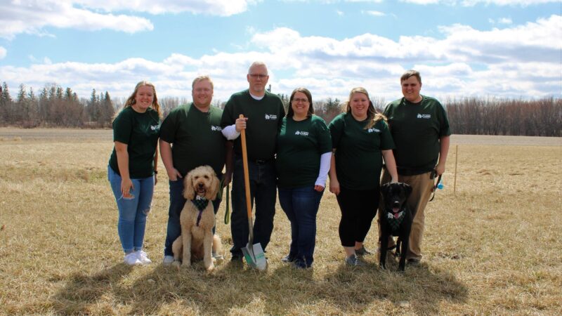 The Canine Cabin LLC - Stacyville, IA
