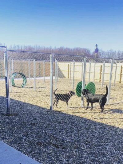 The Canine Cabin LLC - Stacyville, IA