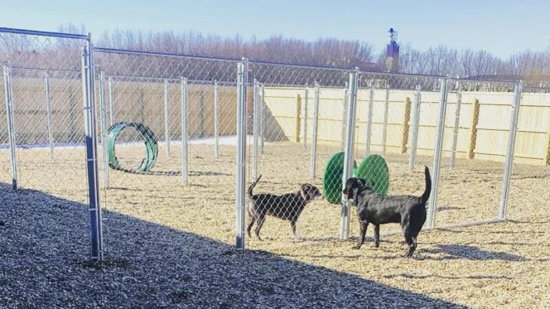 The Canine Cabin LLC - Stacyville, IA