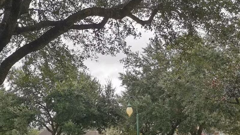 Vaccaro Manor Park - Stafford, TX