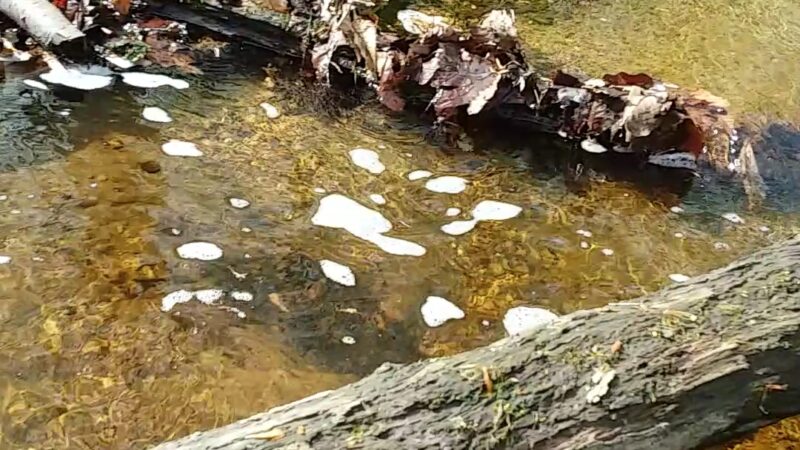 Mianus River State Park Scenic Reserve - Stamford, CT