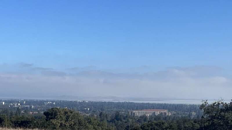 Stanford Dish Hiking Trail - Stanford, CA