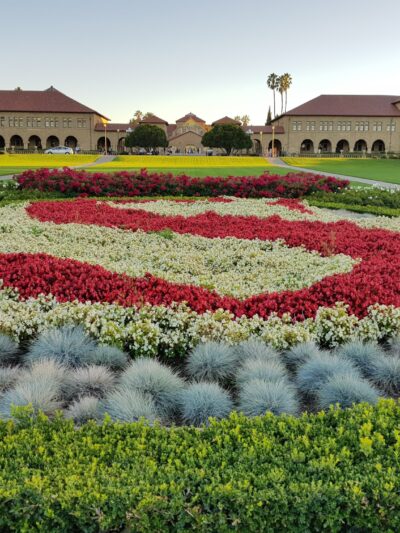 Stanford Oval - Stanford, CA