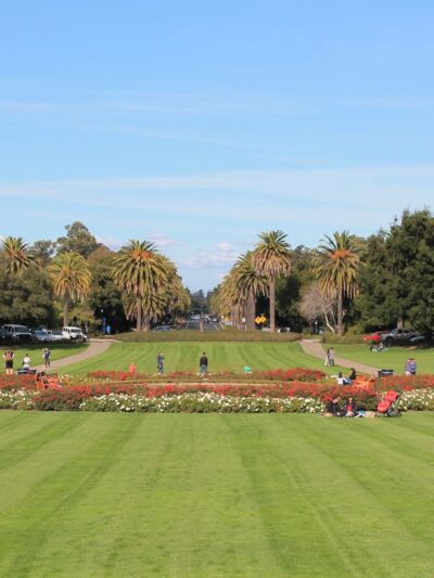 Stanford Oval - Stanford, CA