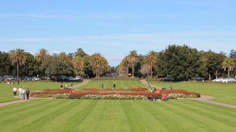 Stanford Oval - Stanford, CA