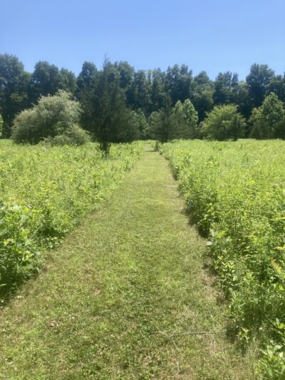 Stanford Wildlife Preserve - Stanfordville, NY
