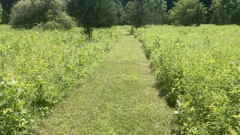 Stanford Wildlife Preserve - Stanfordville, NY