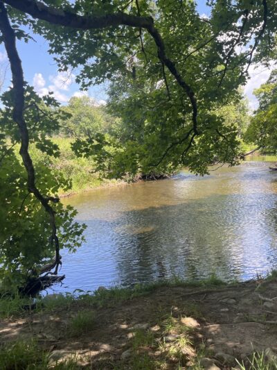 Stanford Wildlife Preserve - Stanfordville, NY
