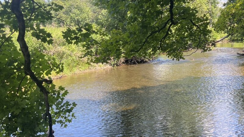 Stanford Wildlife Preserve - Stanfordville, NY