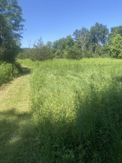 Stanford Wildlife Preserve - Stanfordville, NY