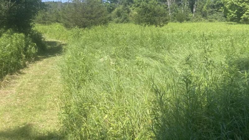 Stanford Wildlife Preserve - Stanfordville, NY