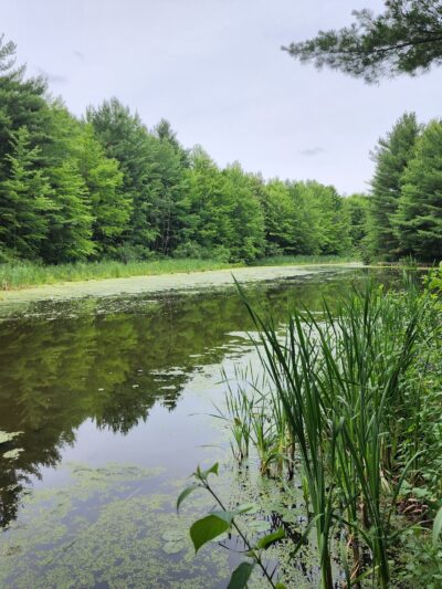 Otter Lake County Park - Stanley, WI