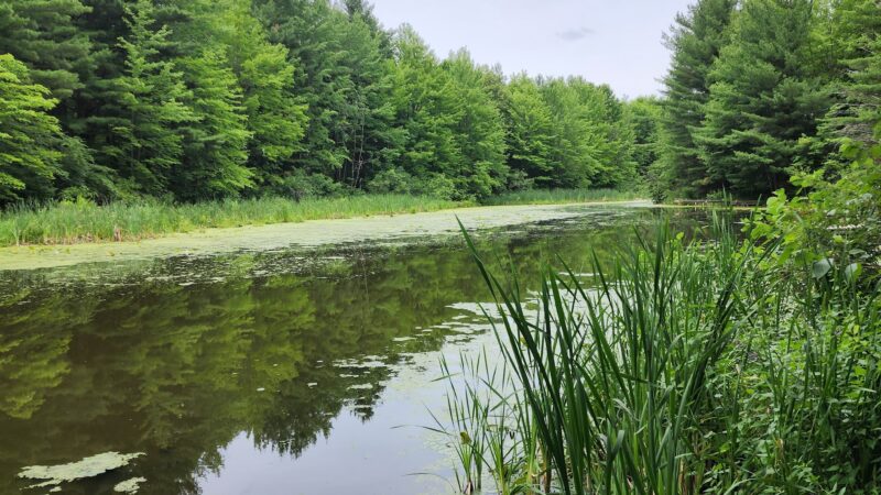 Otter Lake County Park - Stanley, WI