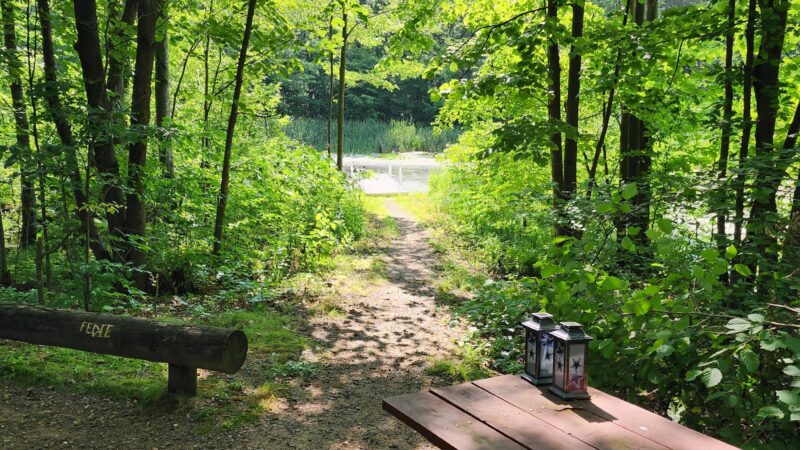 Otter Lake County Park - Stanley, WI