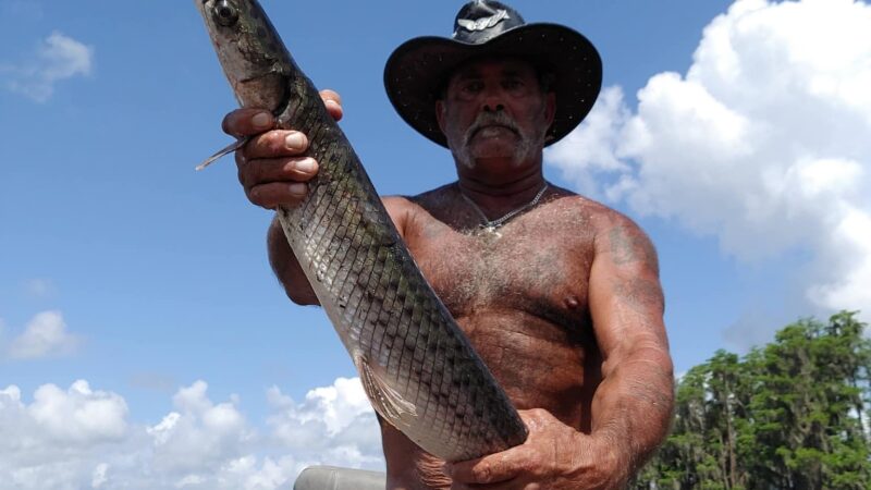 Santa Fe Swamp Conservation Area - Starke, FL