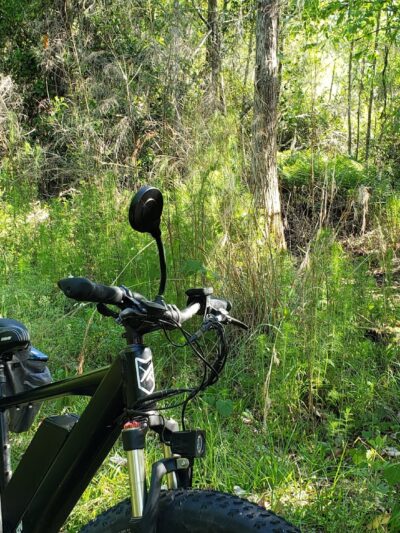 Santa Fe Swamp Conservation Area - Starke, FL