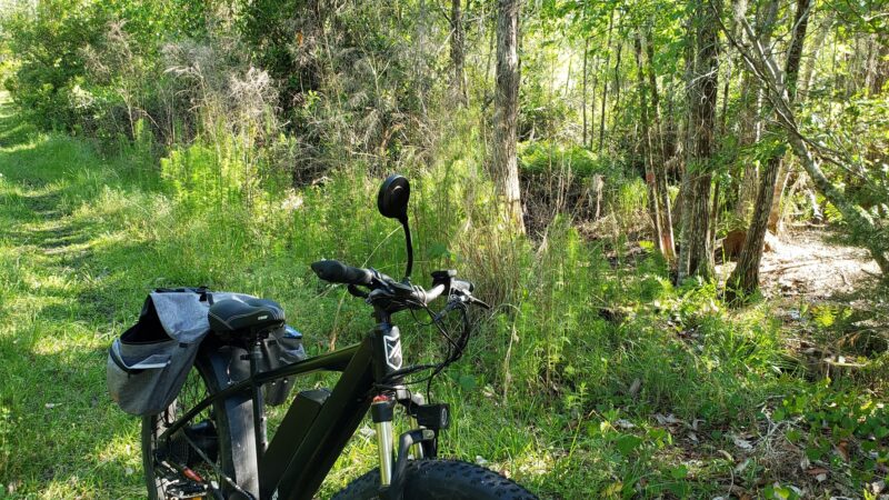 Santa Fe Swamp Conservation Area - Starke, FL