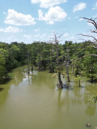 Starks City Park - Starks, LA