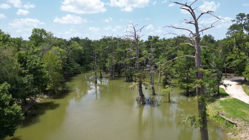 Starks City Park - Starks, LA