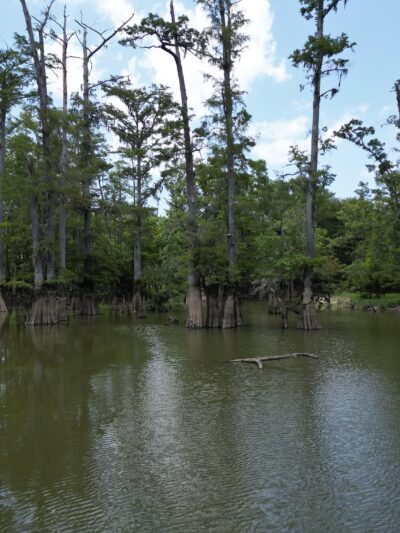 Starks City Park - Starks, LA