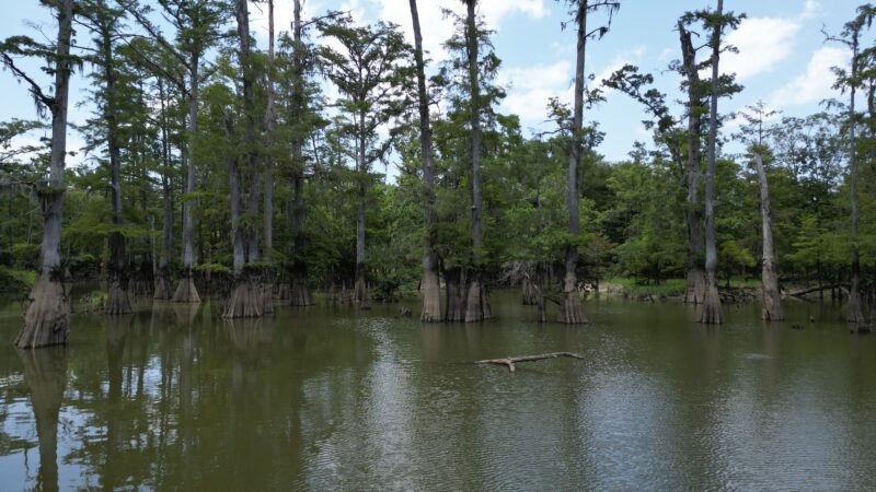 Starks City Park - Starks, LA