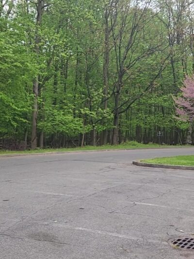 Willowbrook Park - Staten Island, NY