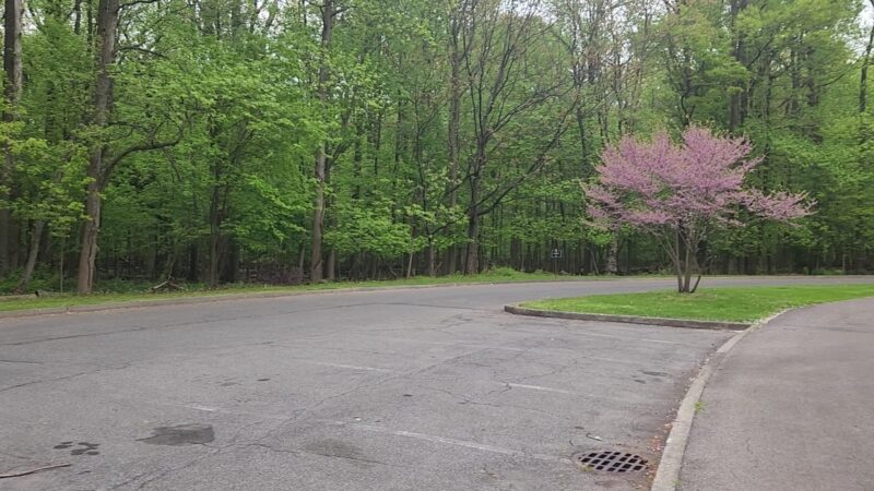 Willowbrook Park - Staten Island, NY