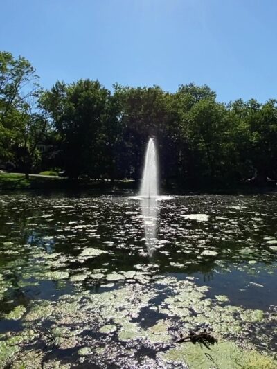 Allison Pond Park - Staten Island, NY