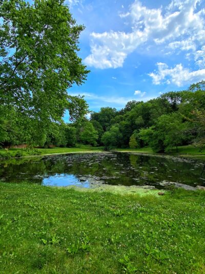 Allison Pond Park - Staten Island, NY