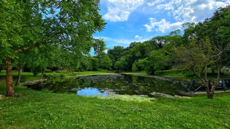 Allison Pond Park - Staten Island, NY