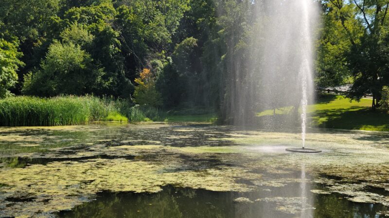 Allison Pond Park - Staten Island, NY