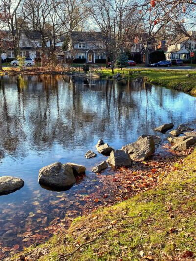 Allison Pond Park - Staten Island, NY