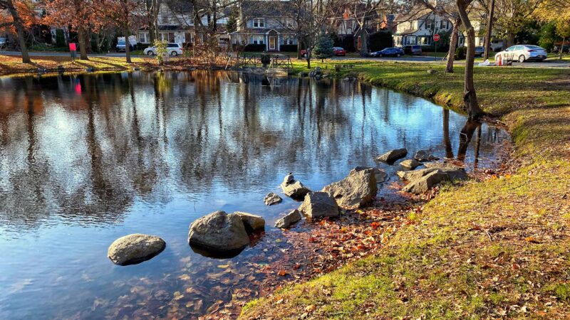 Allison Pond Park - Staten Island, NY