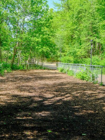 Bloomingdale Dog Run - Staten Island, NY