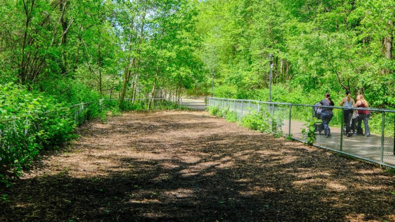 Bloomingdale Dog Run - Staten Island, NY