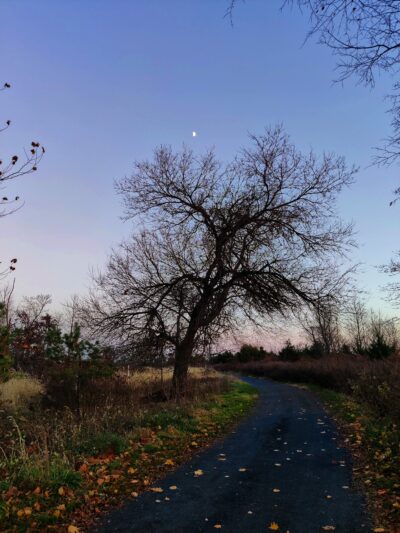 Conference House Dog Park - Staten Island, NY