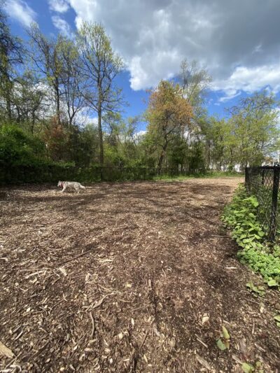 Conference House Dog Park - Staten Island, NY
