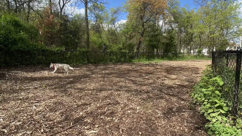 Conference House Dog Park - Staten Island, NY