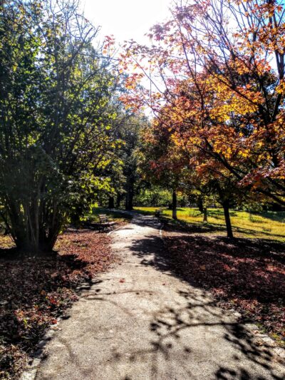 Von Briesen Park - Staten Island, NY
