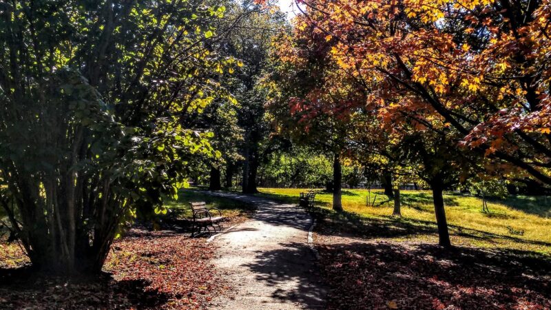 Von Briesen Park - Staten Island, NY