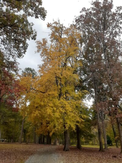 Mac Anderson Park - Statesville, NC