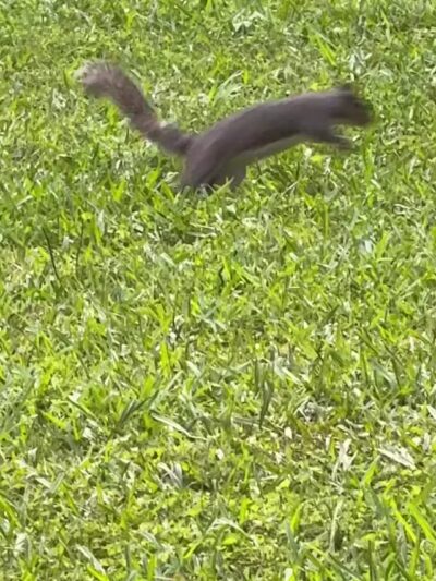 Mac Anderson Park - Statesville, NC